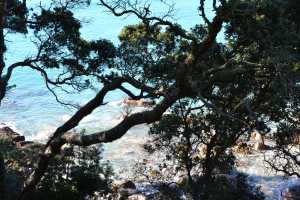 MT-MAUNGANUI(007)